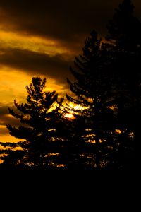 Preview wallpaper trees, dark, sunset, twilight, nature