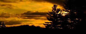 Preview wallpaper trees, dark, sunset, twilight, nature