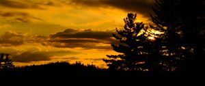Preview wallpaper trees, dark, sunset, twilight, nature