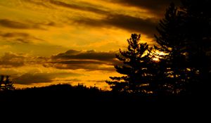 Preview wallpaper trees, dark, sunset, twilight, nature