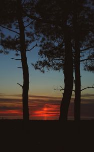 Preview wallpaper trees, dark, twilight, outlines, sunset