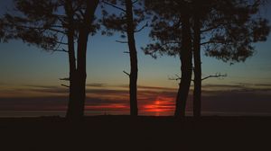 Preview wallpaper trees, dark, twilight, outlines, sunset