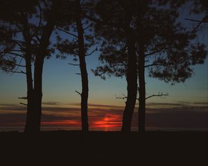 Preview wallpaper trees, dark, twilight, outlines, sunset