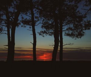 Preview wallpaper trees, dark, twilight, outlines, sunset