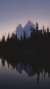 Preview wallpaper trees, dark, twilight, water, reflection
