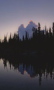 Preview wallpaper trees, dark, twilight, water, reflection