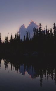 Preview wallpaper trees, dark, twilight, water, reflection