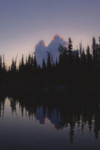 Preview wallpaper trees, dark, twilight, water, reflection