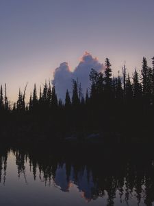 Preview wallpaper trees, dark, twilight, water, reflection