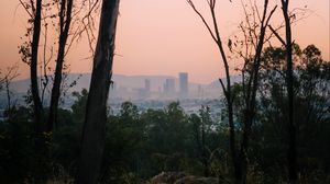 Preview wallpaper trees, dawn, city, mexico