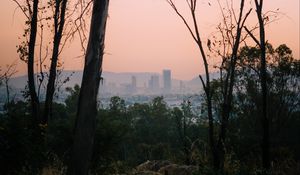 Preview wallpaper trees, dawn, city, mexico