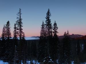 Preview wallpaper trees, dawn, landscape, nature, snow