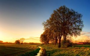Preview wallpaper trees, ditch, water, channel, field, light, evening