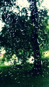 Preview wallpaper trees, drops, glass