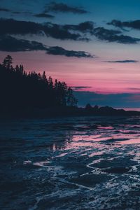 Preview wallpaper trees, dusk, lake, silhouette