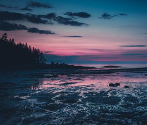 Preview wallpaper trees, dusk, lake, silhouette