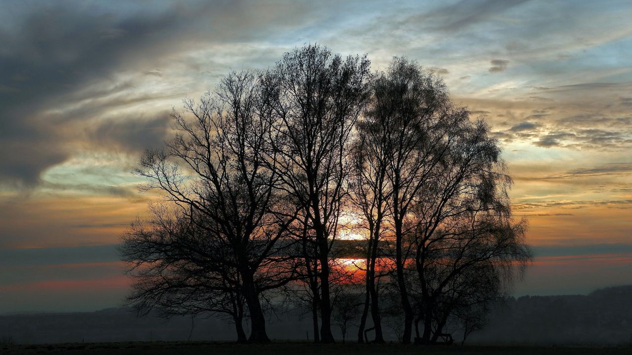 Wallpaper trees, evening, decline, sky, twilight