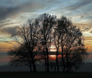 Preview wallpaper trees, evening, decline, sky, twilight