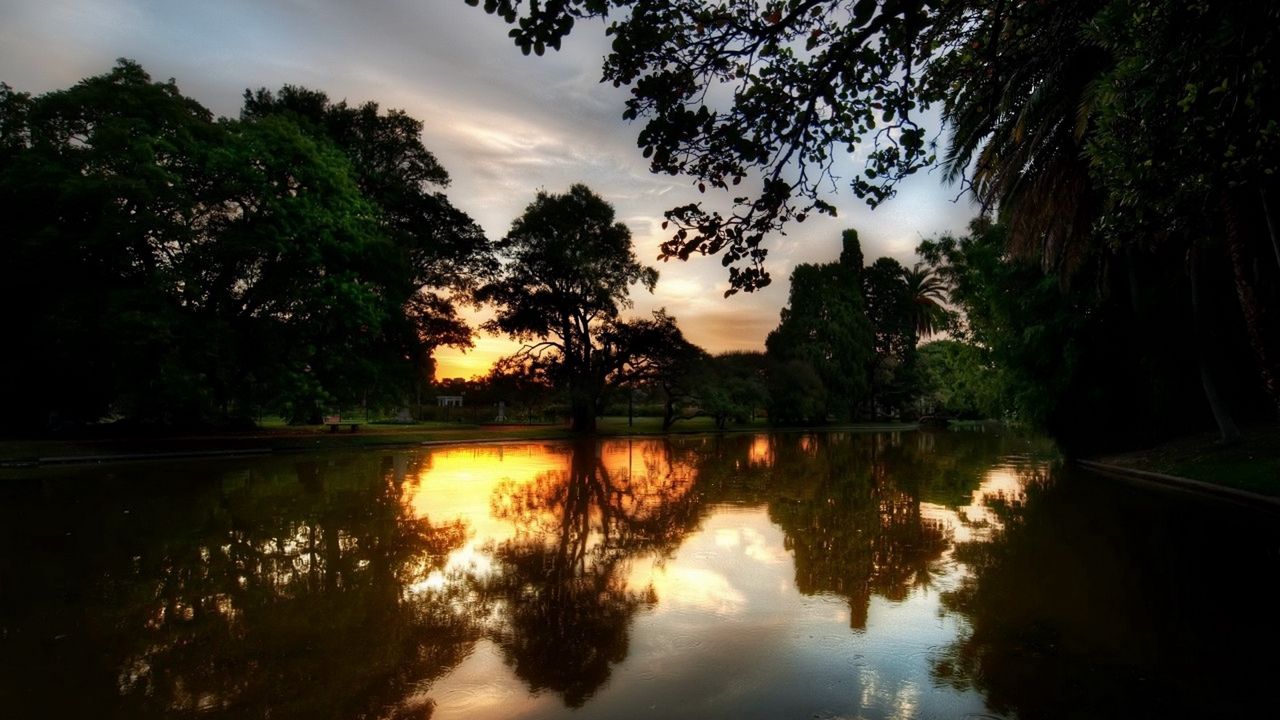 Wallpaper trees, evening, lake, reflection, twilight, summer