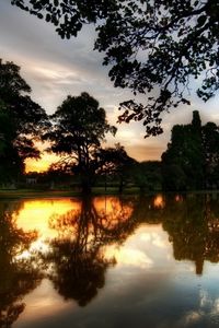 Preview wallpaper trees, evening, lake, reflection, twilight, summer