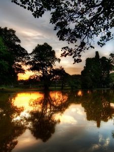 Preview wallpaper trees, evening, lake, reflection, twilight, summer