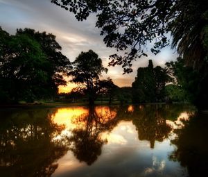 Preview wallpaper trees, evening, lake, reflection, twilight, summer