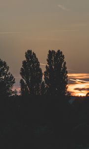 Preview wallpaper trees, evening, night, sky