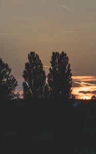 Preview wallpaper trees, evening, night, sky