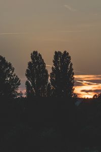 Preview wallpaper trees, evening, night, sky
