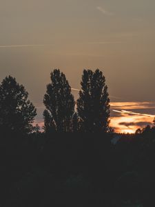 Preview wallpaper trees, evening, night, sky