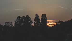 Preview wallpaper trees, evening, night, sky