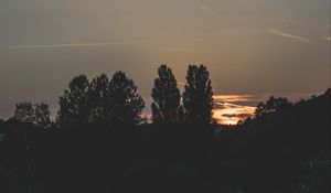 Preview wallpaper trees, evening, night, sky