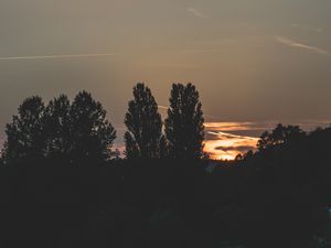 Preview wallpaper trees, evening, night, sky
