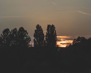 Preview wallpaper trees, evening, night, sky