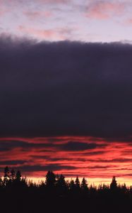 Preview wallpaper trees, evening, silhouettes, dark, nature