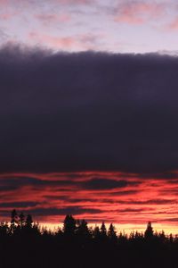 Preview wallpaper trees, evening, silhouettes, dark, nature