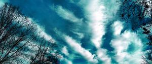 Preview wallpaper trees, evening, sky, clouds