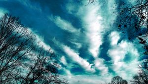 Preview wallpaper trees, evening, sky, clouds