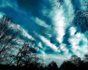 Preview wallpaper trees, evening, sky, clouds