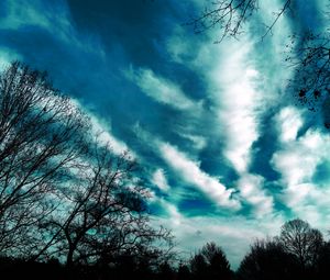 Preview wallpaper trees, evening, sky, clouds