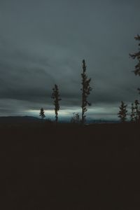 Preview wallpaper trees, evening, sky, horizon