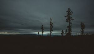 Preview wallpaper trees, evening, sky, horizon