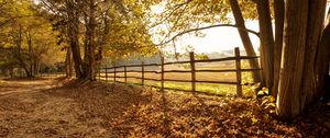 Preview wallpaper trees, fallen leaves, fence, autumn