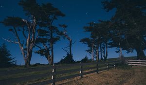 Preview wallpaper trees, fence, nature, dark