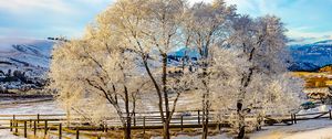Preview wallpaper trees, fence, snow, winter