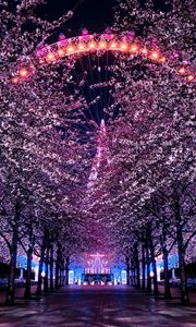 Preview wallpaper trees, ferris wheel, night, backlight