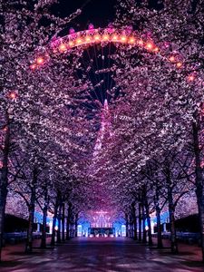 Preview wallpaper trees, ferris wheel, night, backlight