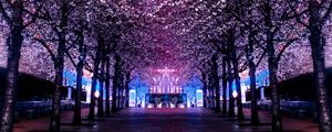 Preview wallpaper trees, ferris wheel, night, backlight