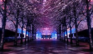 Preview wallpaper trees, ferris wheel, night, backlight