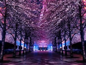 Preview wallpaper trees, ferris wheel, night, backlight